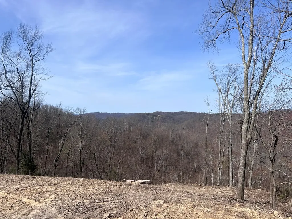 4575 Upper Crab Road Jamestown TN 38556