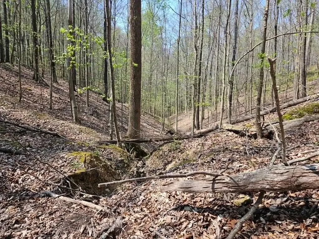 5 Acres Benton Tidwell Road Hilham TN 38568