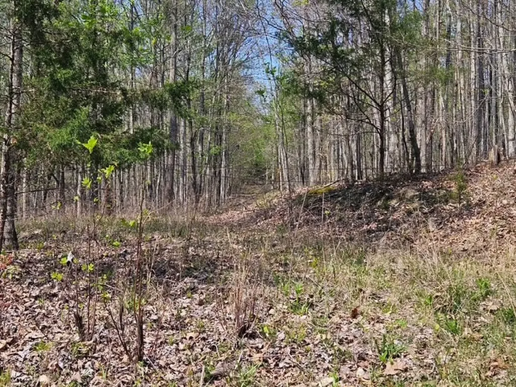 5 Acres Benton Tidwell Road Hilham TN 38568