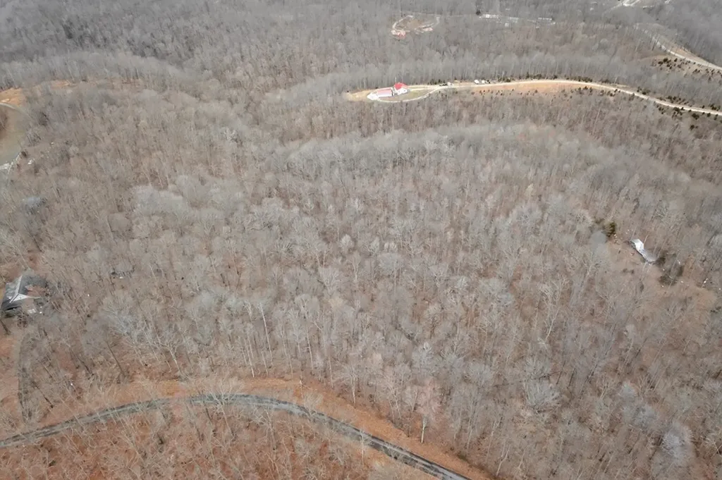 5 Acres Benton Tidwell Road Hilham TN 38568