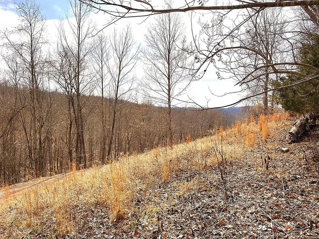 50D Crappie Lane Hilham TN 38568