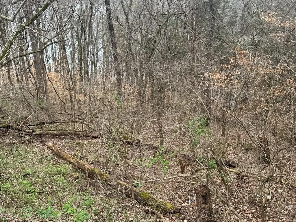 0 Lakeside Drive Smithville TN 37166