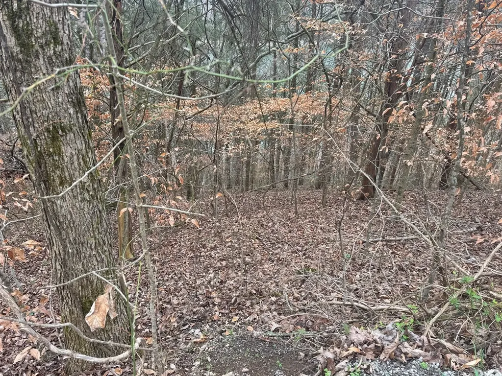 0 Lakeside Drive Smithville TN 37166