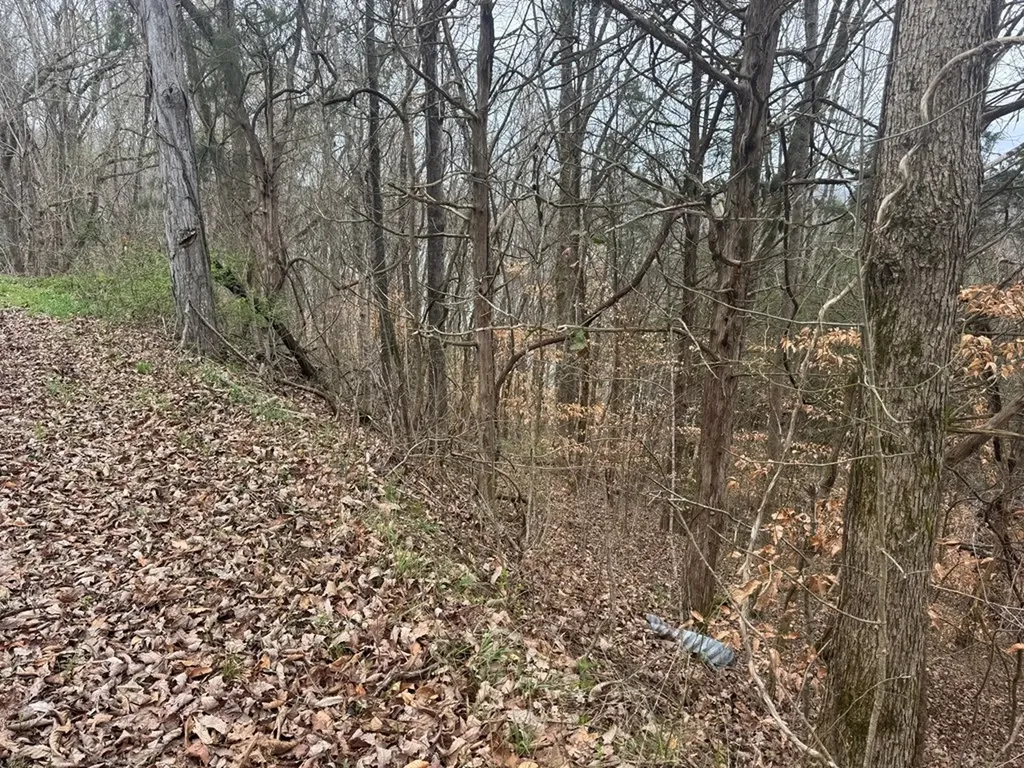 0 Lakeside Drive Smithville TN 37166