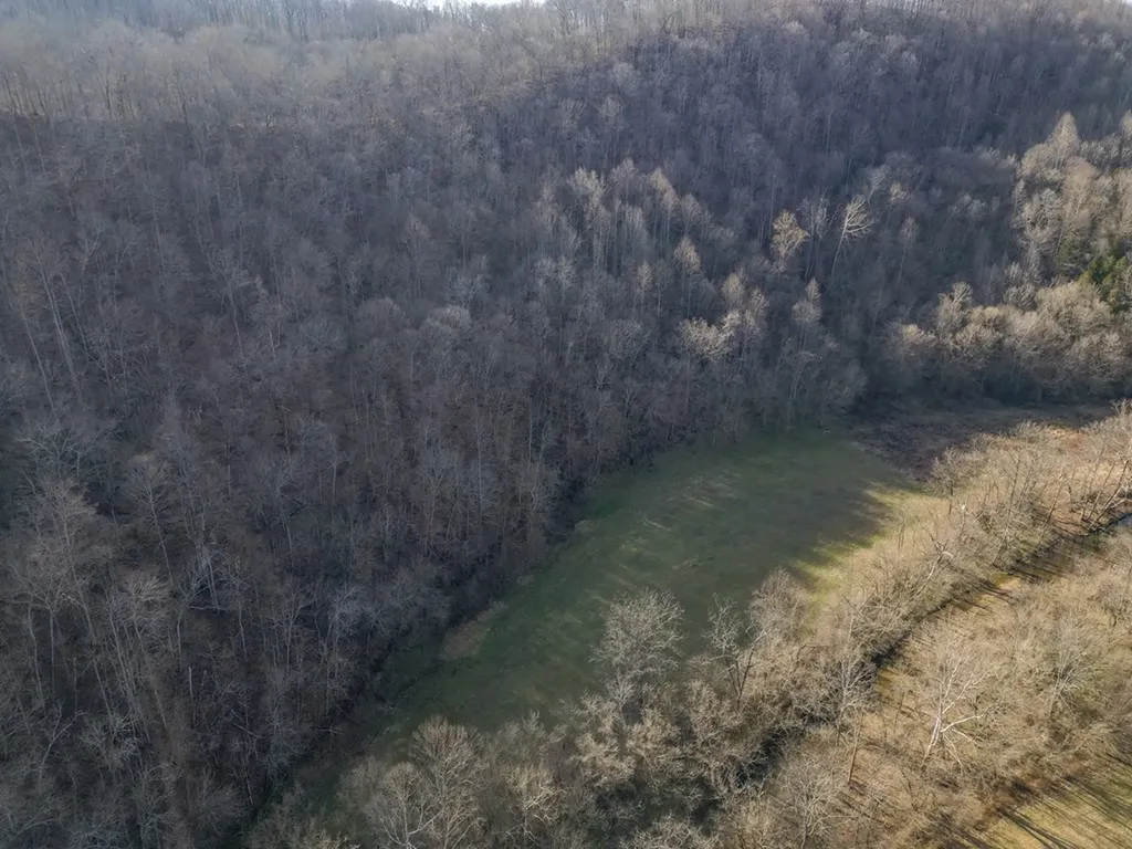 15.76 Ac Charlie Allen Lane Whitleyville TN 38588