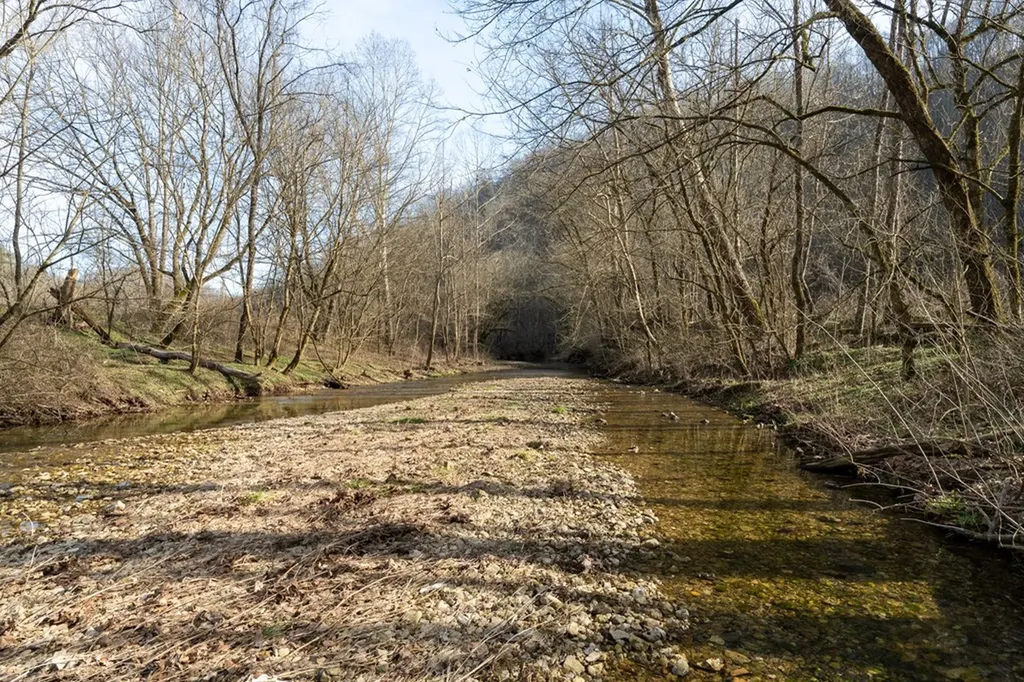 15.76 Ac Charlie Allen Lane Whitleyville TN 38588