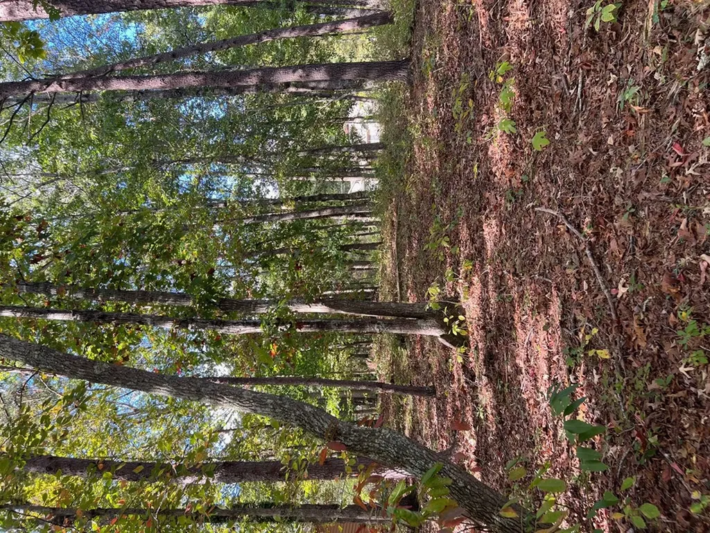 15 Andover Lane Crossville TN 38558