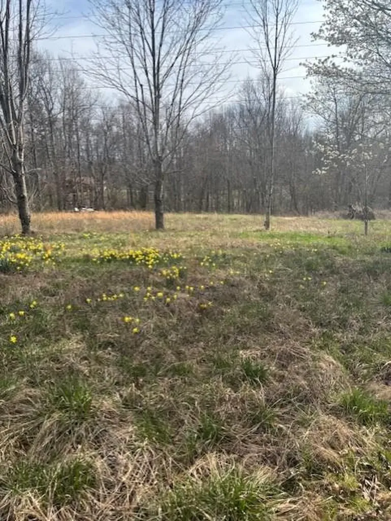 13215 Highway 70 N Crossville TN 38571