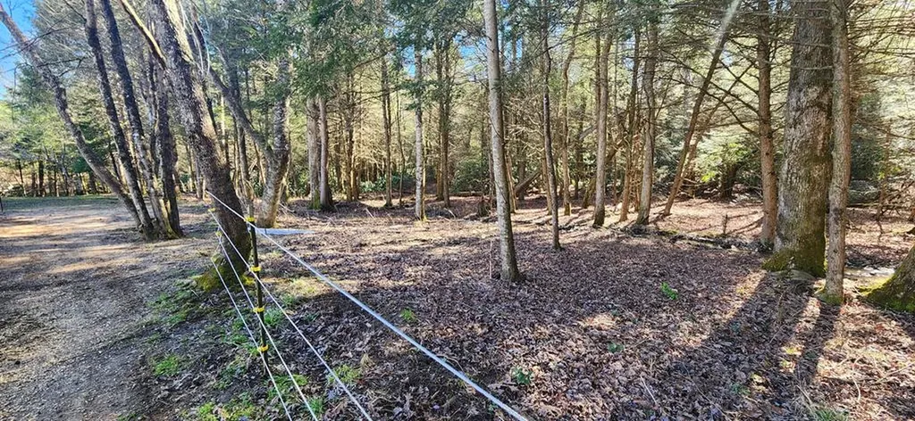 18629 Clarkrange Highway Monterey TN 38574