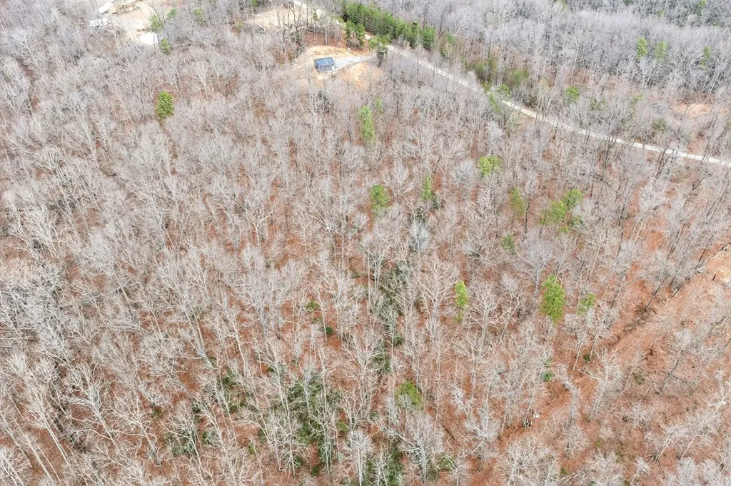 229 Paradise Lane Crawford TN 38554