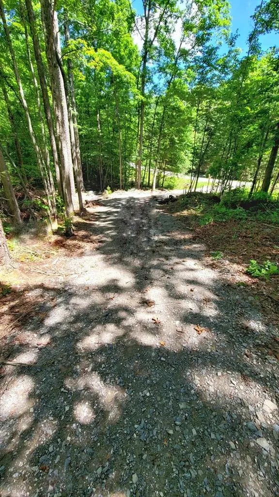 638 Flat Top View Wilder TN 38589