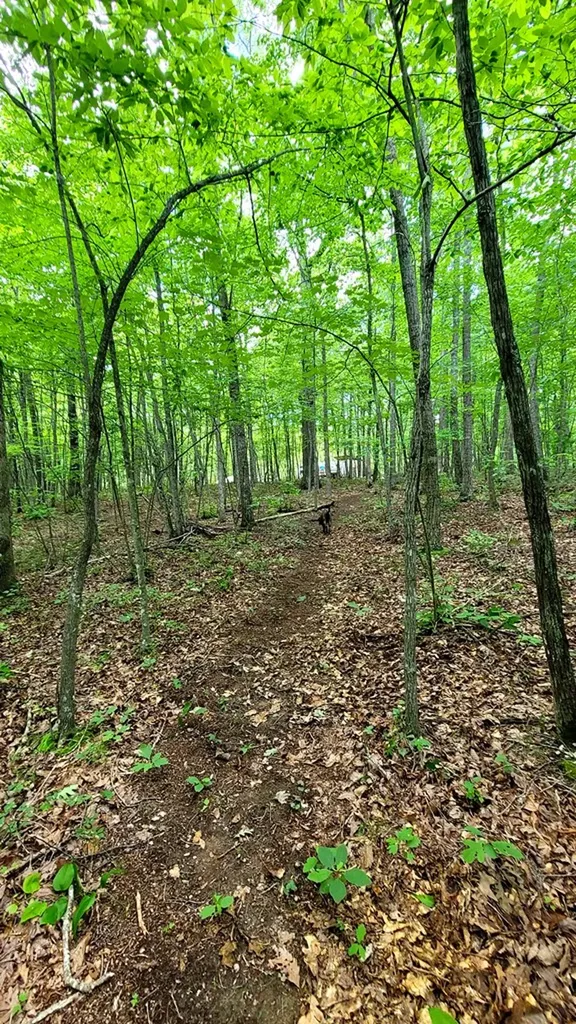 638 Flat Top View Wilder TN 38589