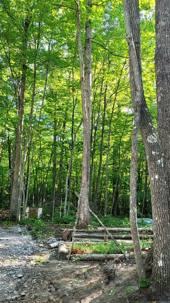 638 Flat Top View Wilder TN 38589