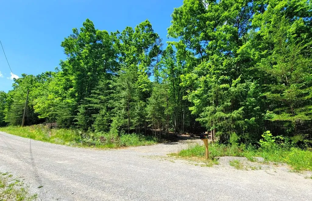 638 Flat Top View Wilder TN 38589