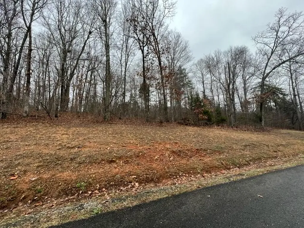Lots 2&3 Cornerstone Parkway Allons TN 38541