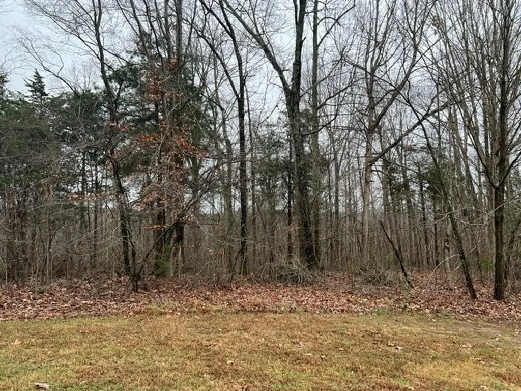 Lots 2&3 Cornerstone Parkway Allons TN 38541