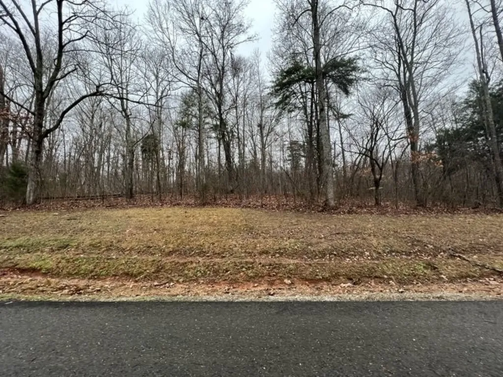 Lots 2&3 Cornerstone Parkway Allons TN 38541