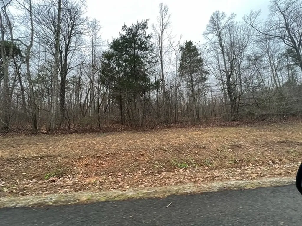 Lots 2&3 Cornerstone Parkway Allons TN 38541