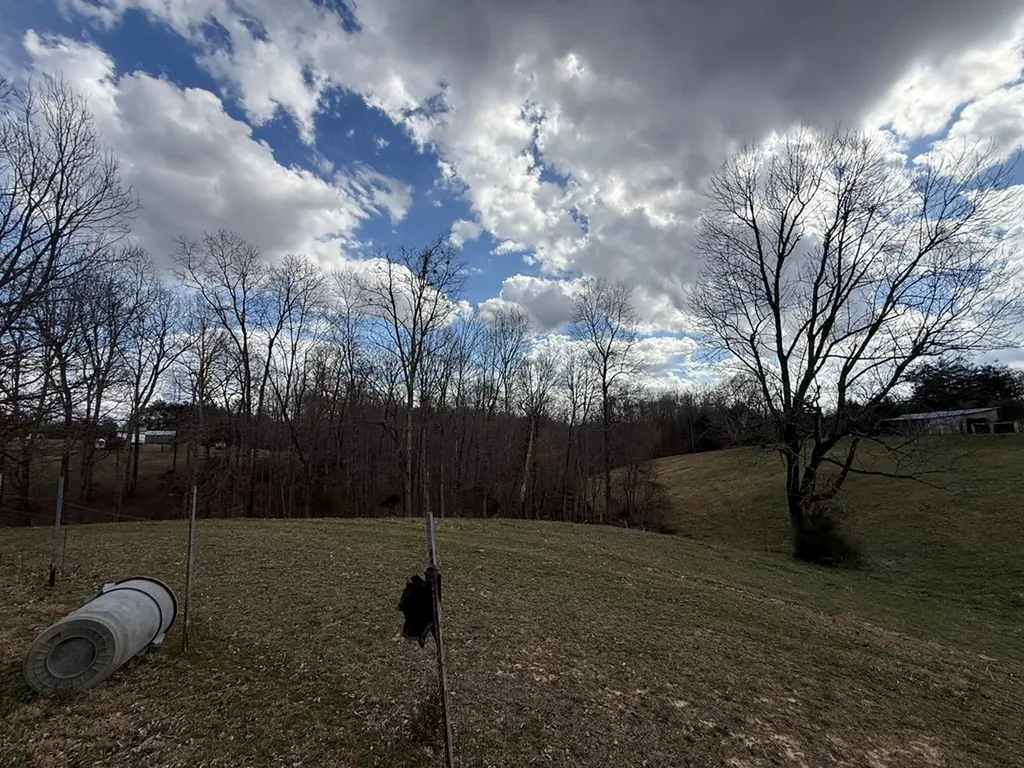 262 Burristown Paradise Lane Gainesboro TN 38562