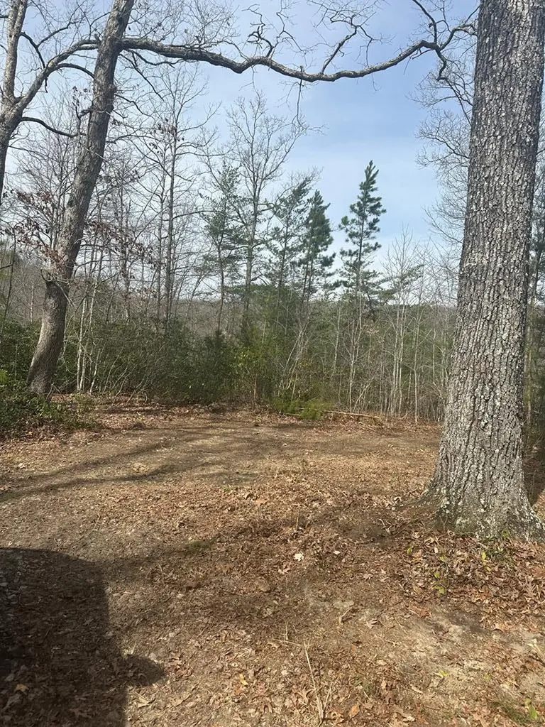 Lot 432 Valley View Circle Lot 432 Wilder TN 38589