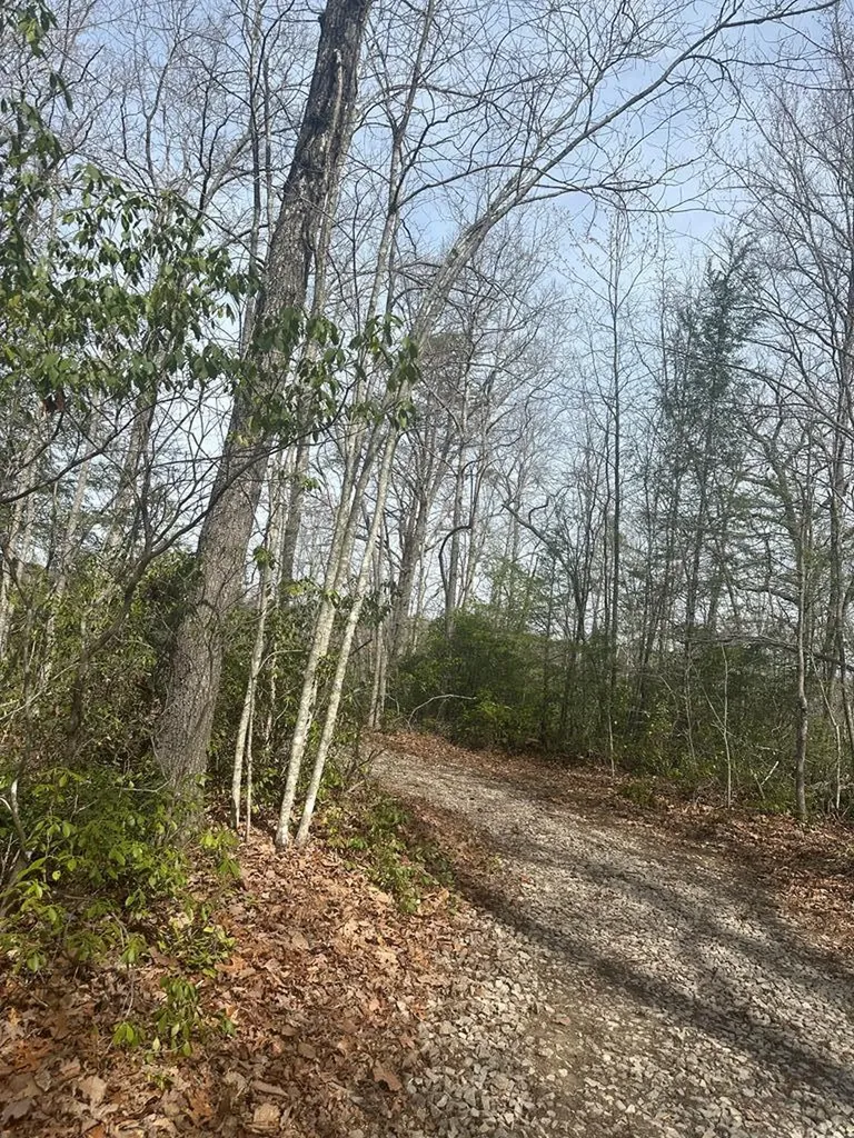 Lot 432 Valley View Circle Lot 432 Wilder TN 38589
