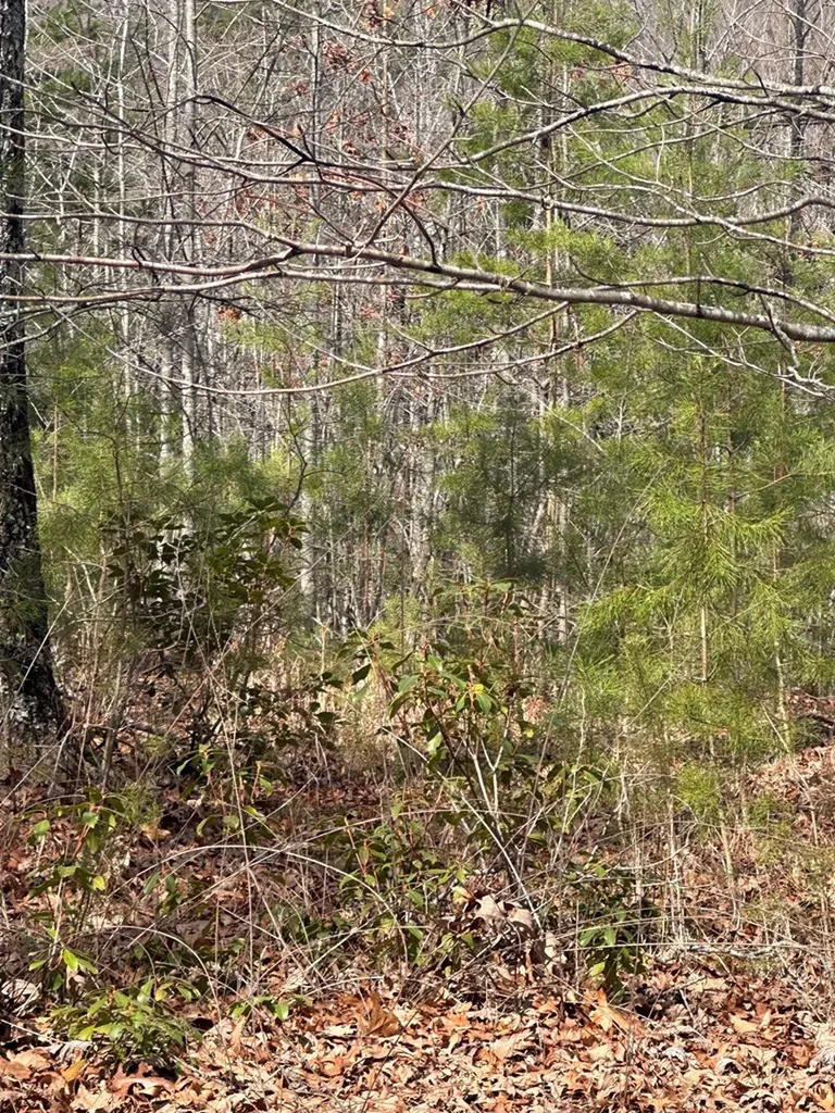 Lot 432 Valley View Circle Lot 432 Wilder TN 38589