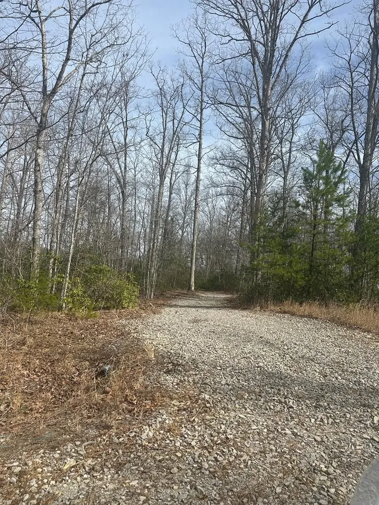 Lot 432 Valley View Circle Lot 432 Wilder TN 38589