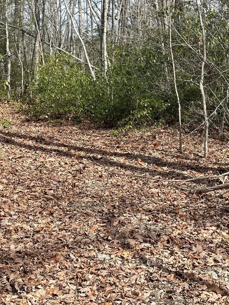 Lot 432 Valley View Circle Lot 432 Wilder TN 38589