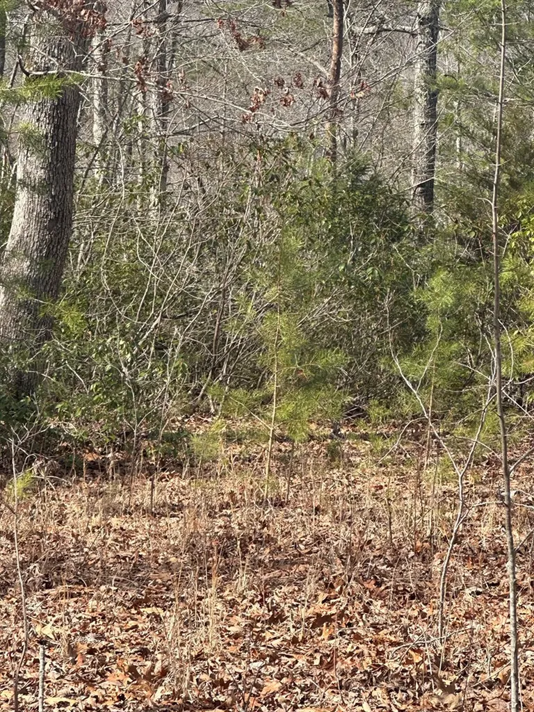 Lot 432 Valley View Circle Lot 432 Wilder TN 38589
