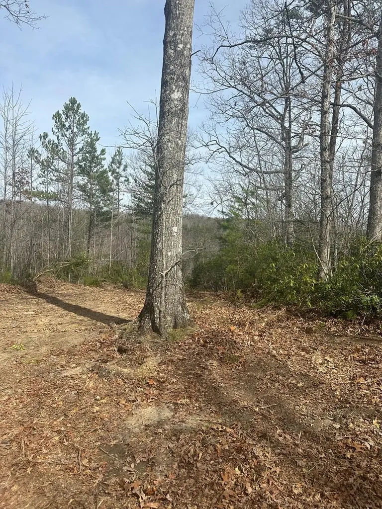 Lot 432 Valley View Circle Lot 432 Wilder TN 38589