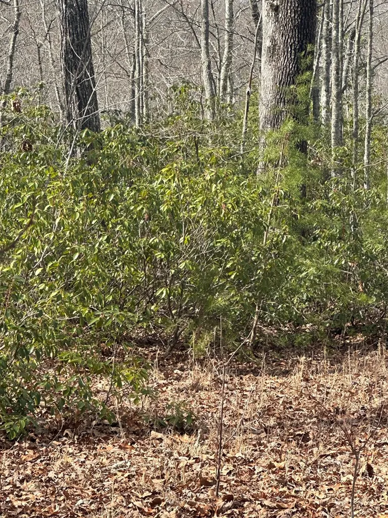 Lot 432 Valley View Circle Lot 432 Wilder TN 38589