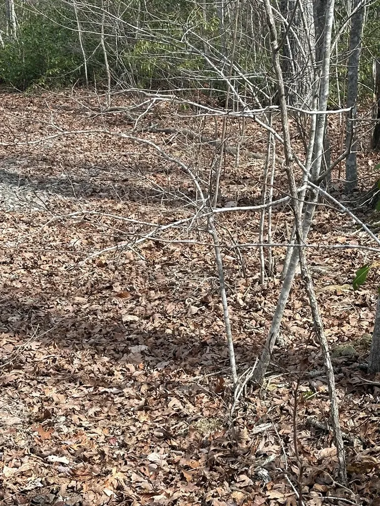 Lot 432 Valley View Circle Lot 432 Wilder TN 38589