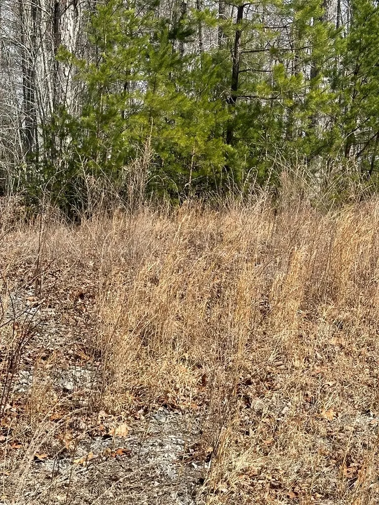Lot 432 Valley View Circle Lot 432 Wilder TN 38589
