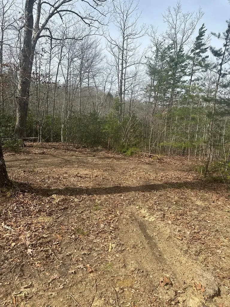 Lot 432 Valley View Circle Lot 432 Wilder TN 38589