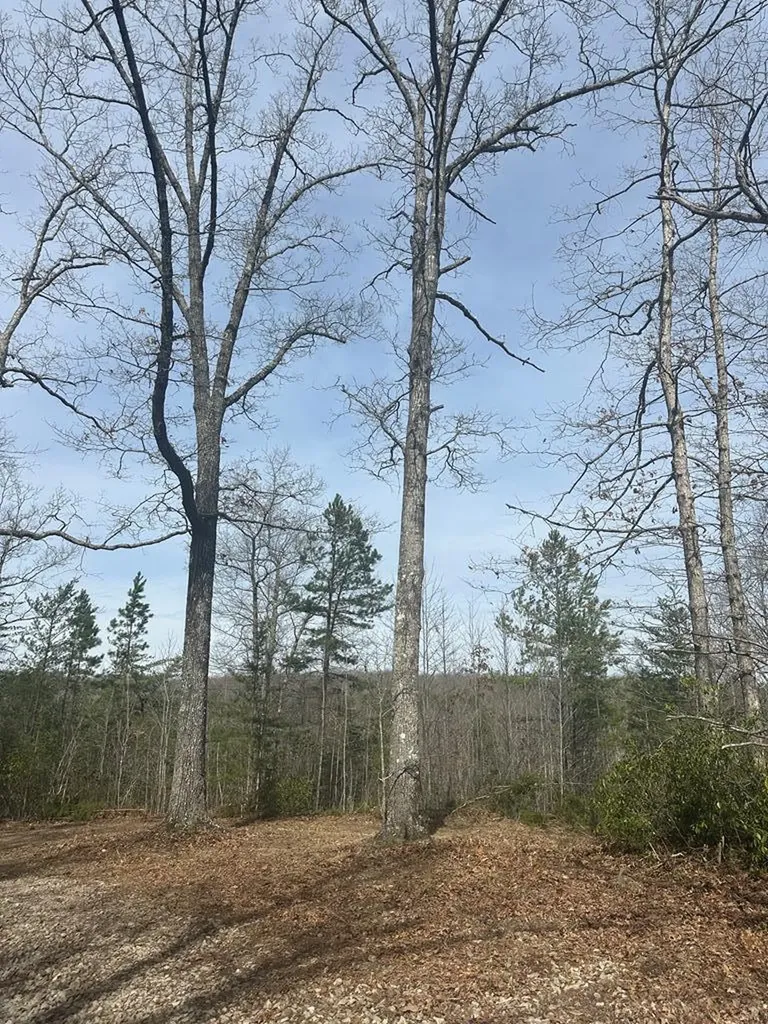Lot 432 Valley View Circle Lot 432 Wilder TN 38589