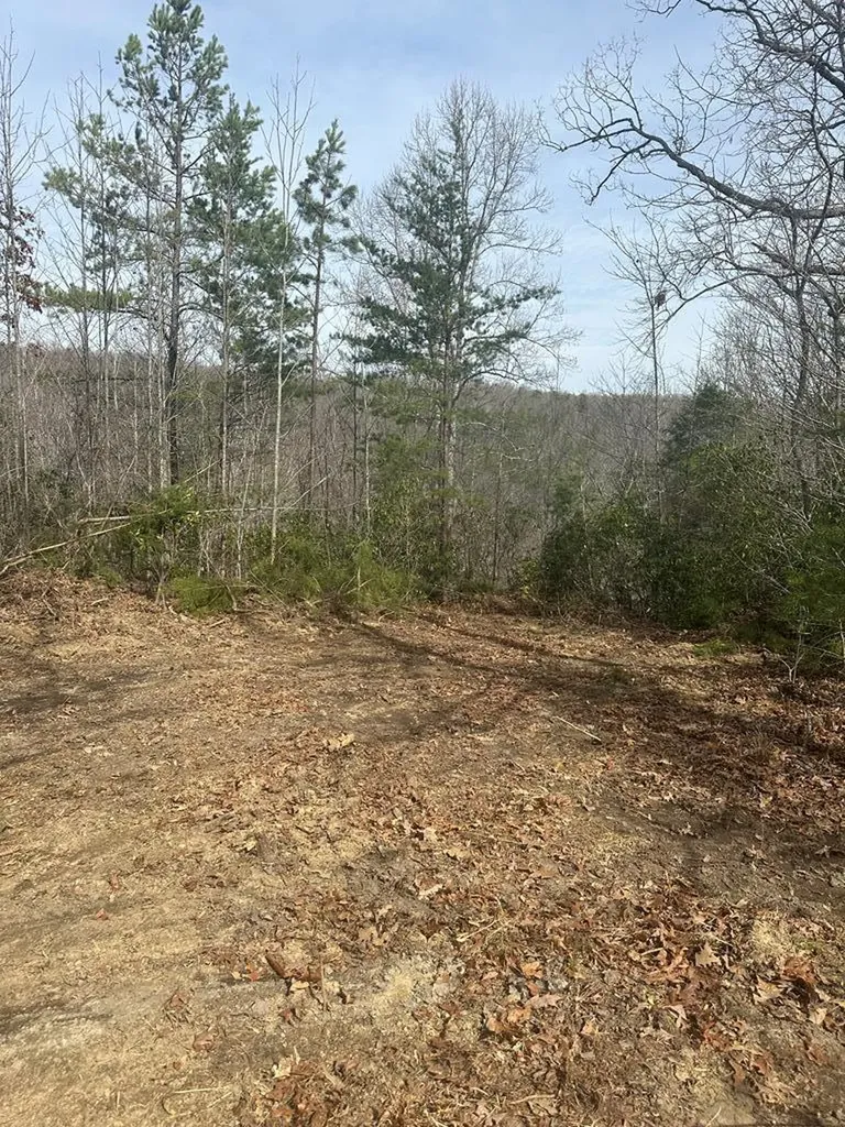 Lot 432 Valley View Circle Lot 432 Wilder TN 38589