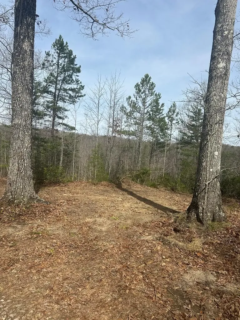 Lot 432 Valley View Circle Lot 432 Wilder TN 38589