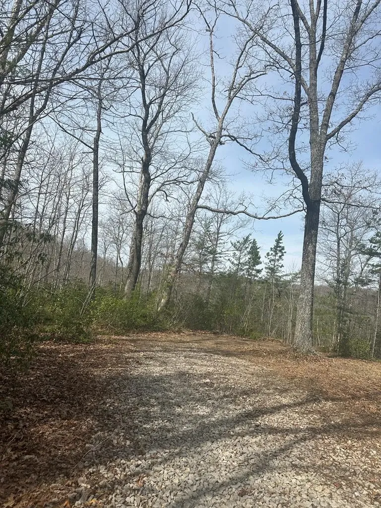 Lot 432 Valley View Circle Lot 432 Wilder TN 38589