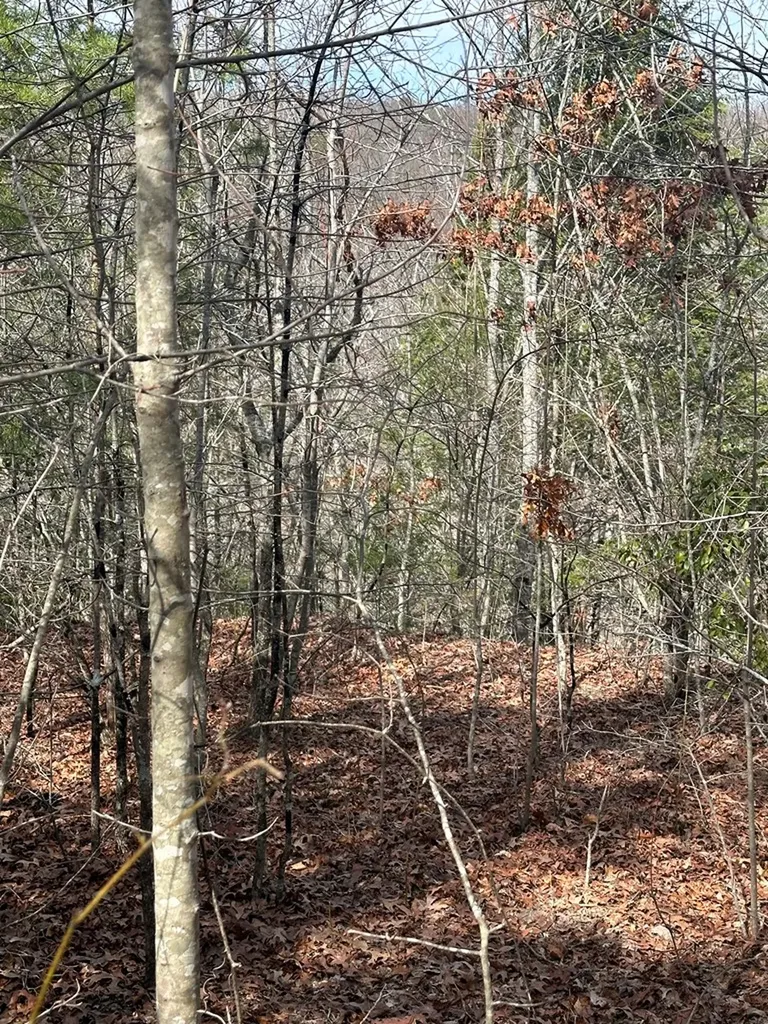 Lot 432 Valley View Circle Lot 432 Wilder TN 38589