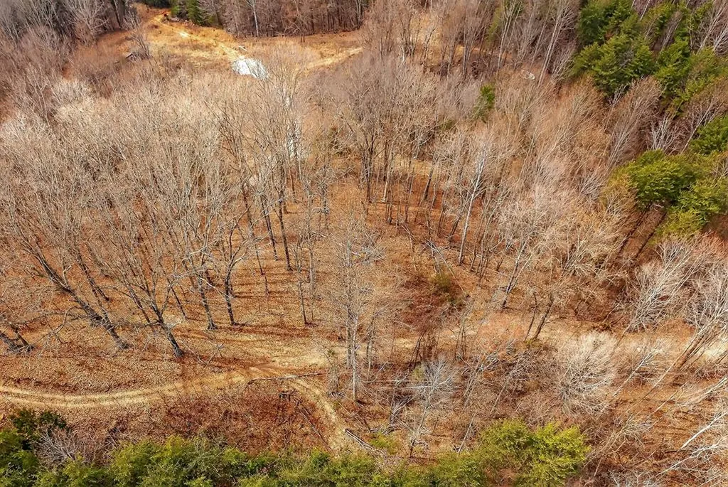 000 Sugar Camp Road Sparta TN 38583