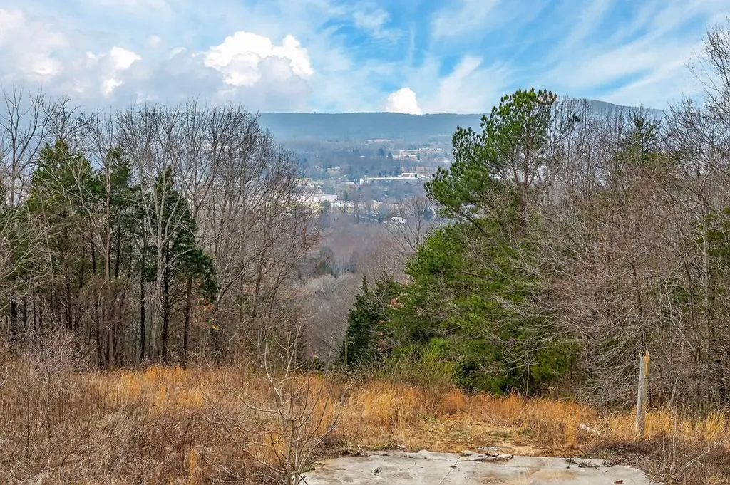 000 Sugar Camp Road Sparta TN 38583
