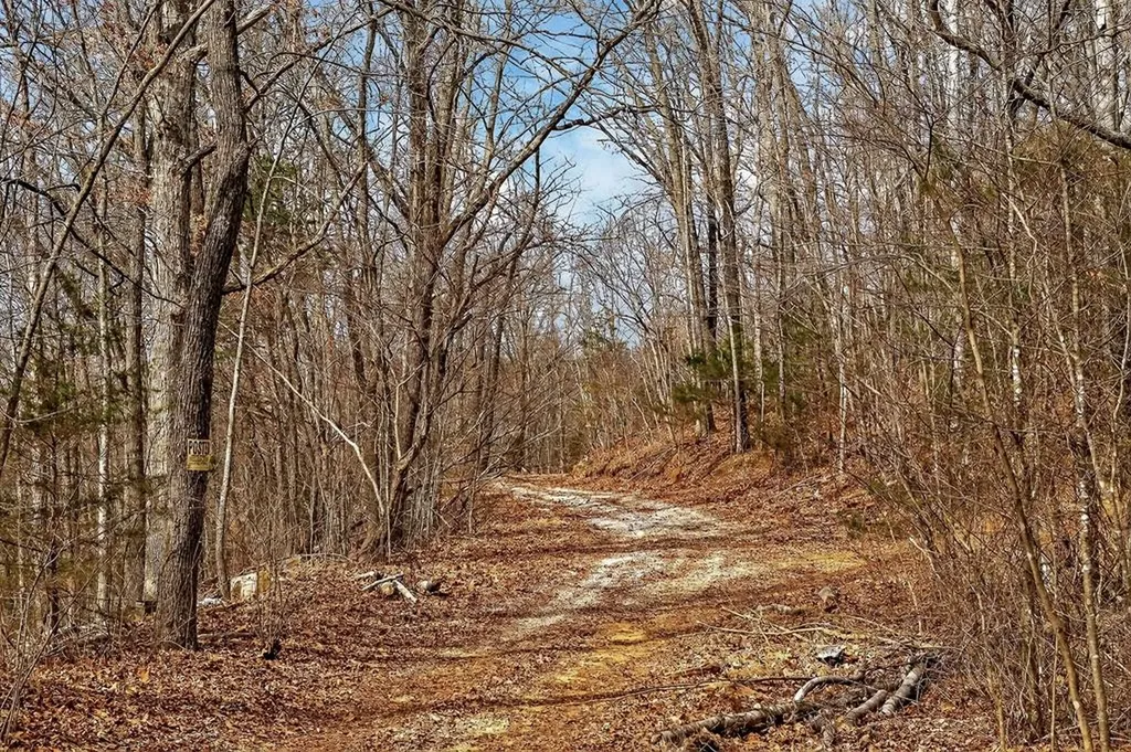 000 Sugar Camp Road Sparta TN 38583