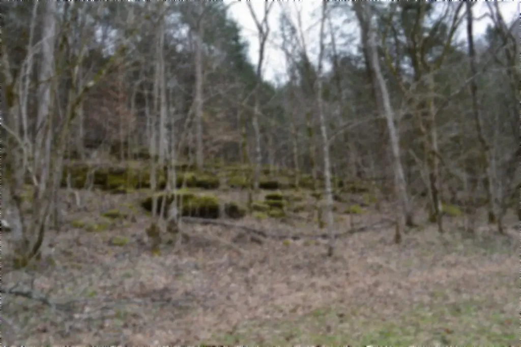 290 Hazel Huffines Lane Whitleyville TN 38588