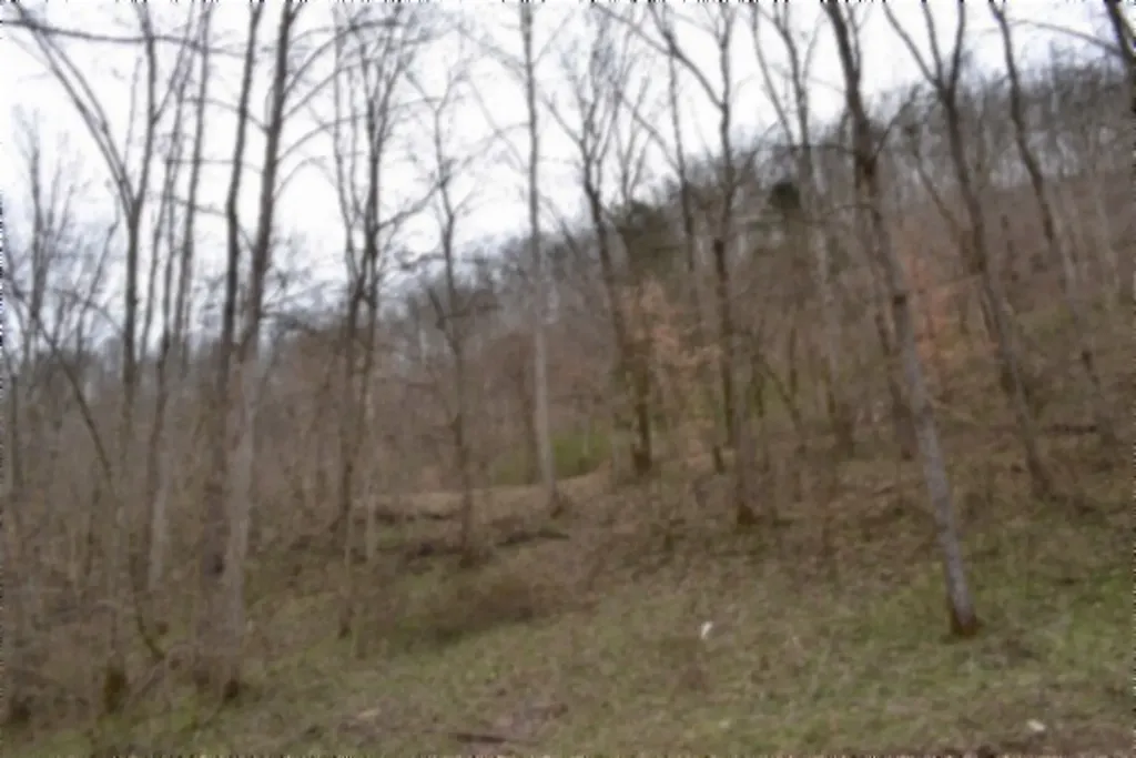 290 Hazel Huffines Lane Whitleyville TN 38588