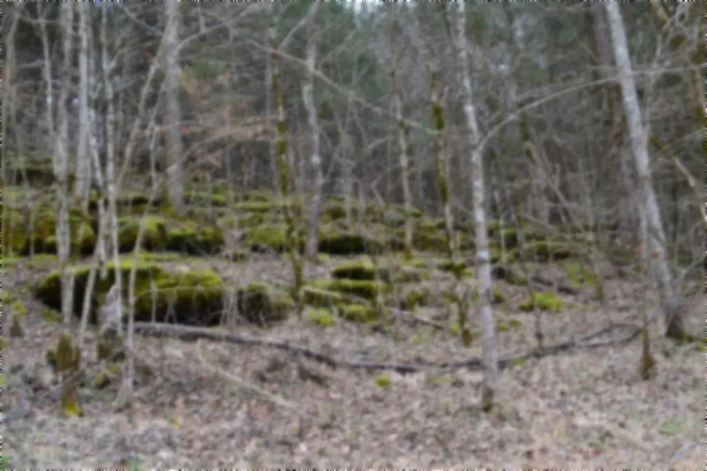 290 Hazel Huffines Lane Whitleyville TN 38588