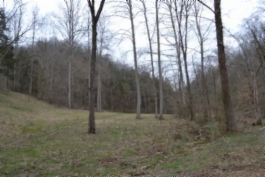 290 Hazel Huffines Lane Whitleyville TN 38588