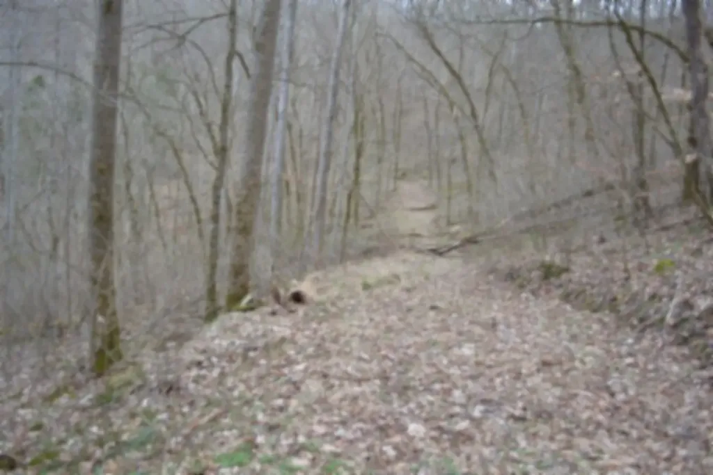 290 Hazel Huffines Lane Whitleyville TN 38588