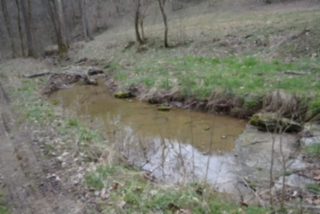 290 Hazel Huffines Lane Whitleyville TN 38588