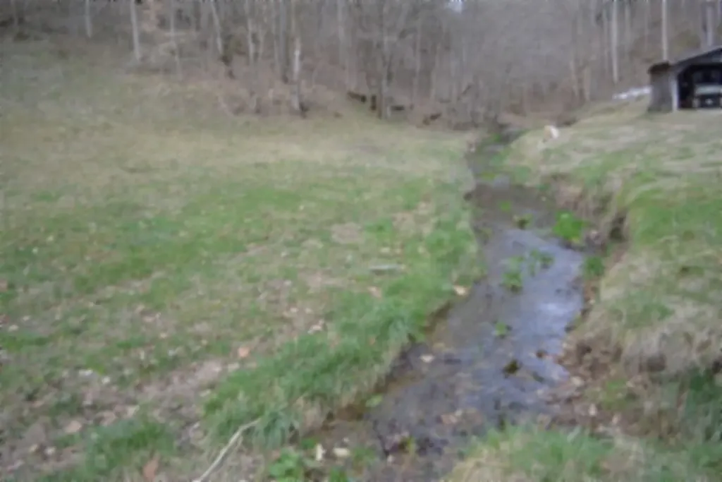 290 Hazel Huffines Lane Whitleyville TN 38588