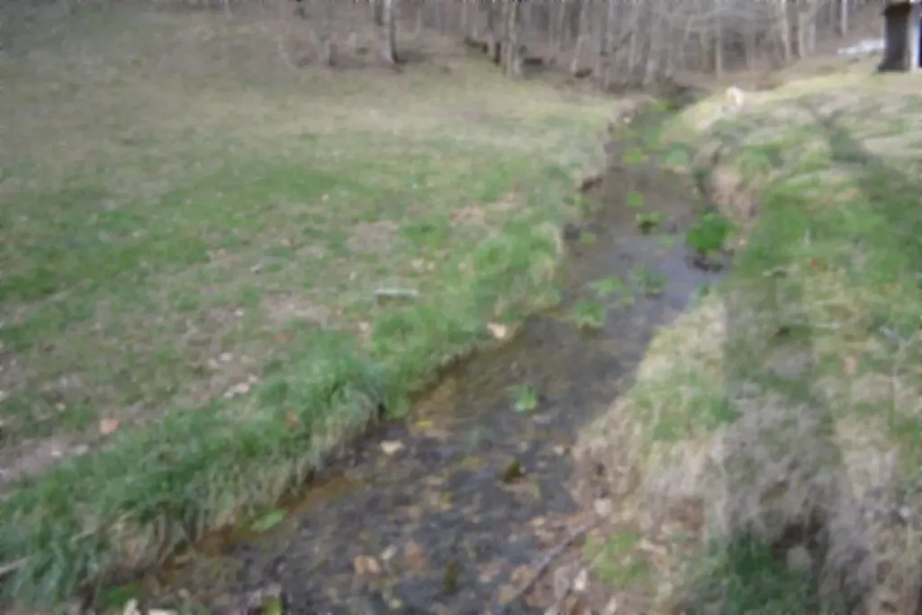 290 Hazel Huffines Lane Whitleyville TN 38588